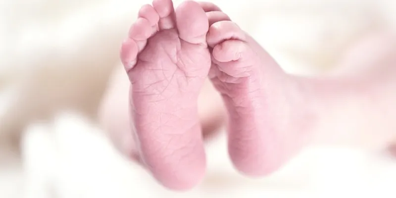 obstetra