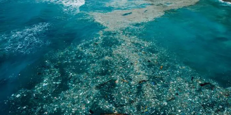 Contaminación marina