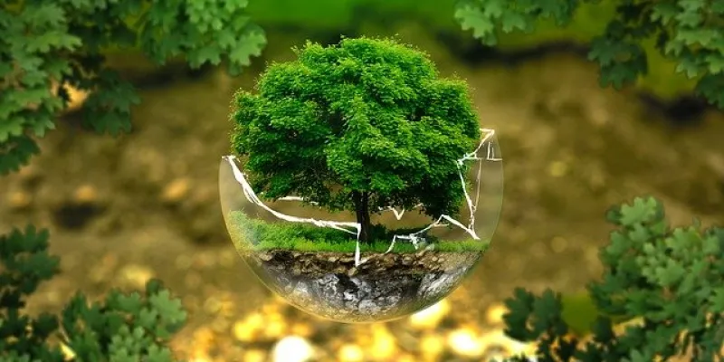 Medio ambiente/Pixabay