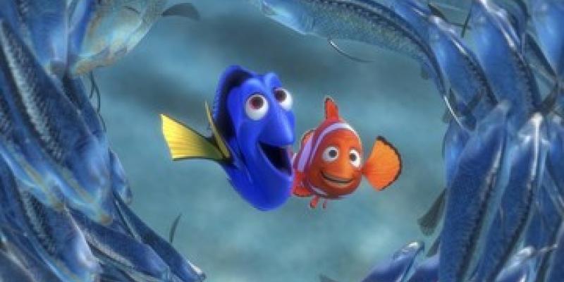 Especies de peces como Dory y Nemo de Disney