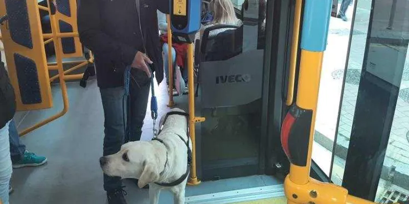 Una persona ciega es acompañado por su perro guía en un autobús público
