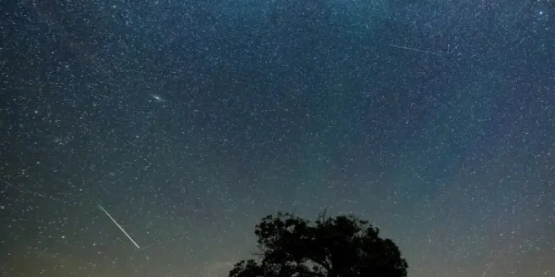 Perseidas