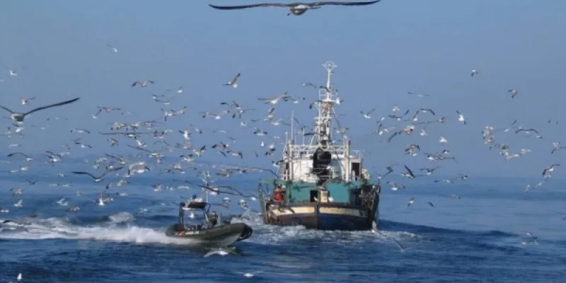 Lucha contra la pesca ilegal