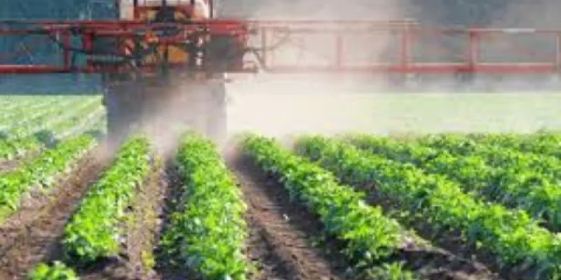 Un pesticida agrícola que envejece a los peces