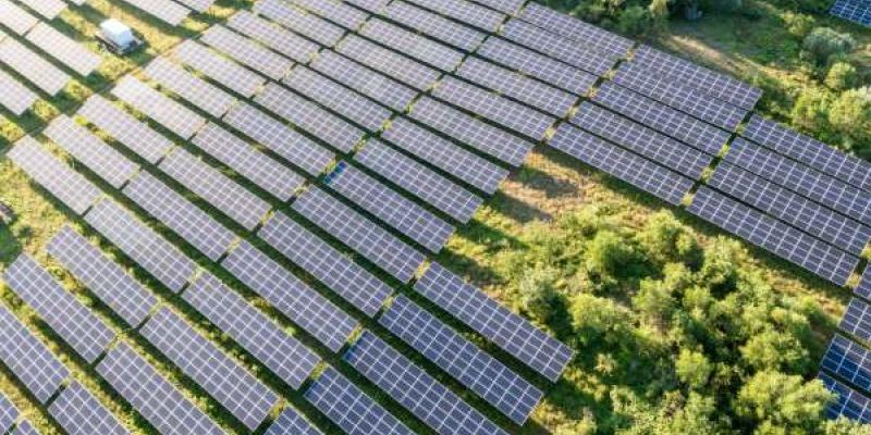 Paneles solares en medio de un bosque de árboles 