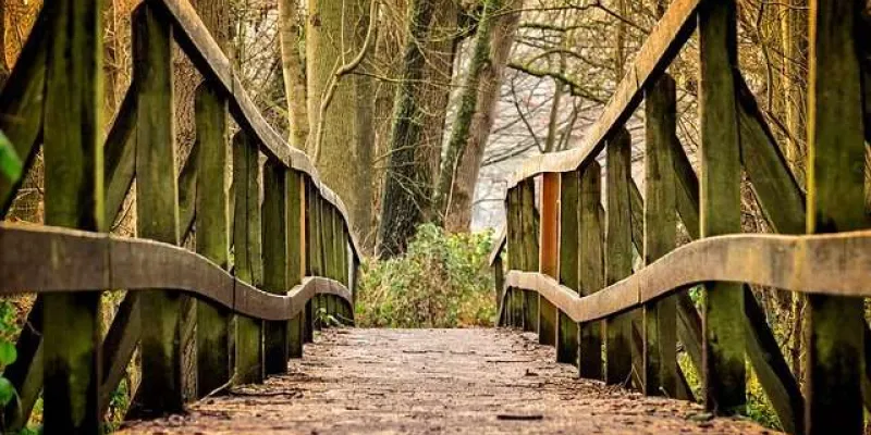 Vista de un puente en el bosque / Pixabay