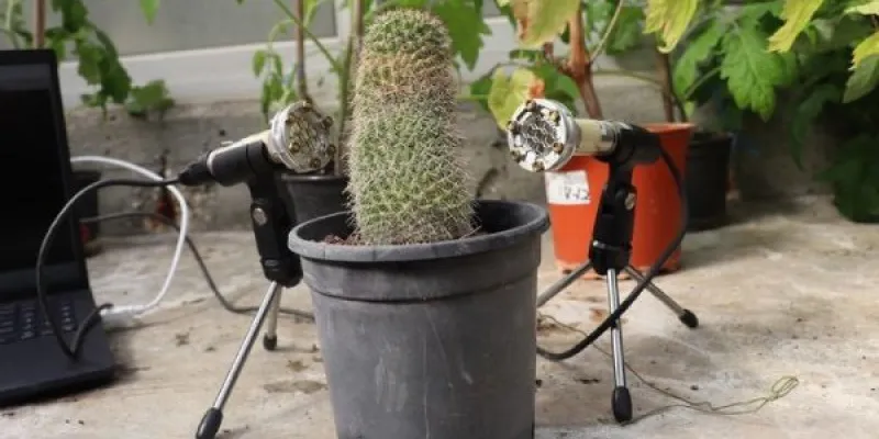 Plantas que emiten sonidos para avisar de que están mal