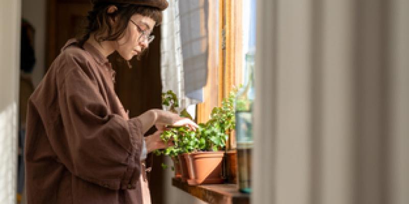 Beneficios de tener plantas alrededor de nuestro hogar