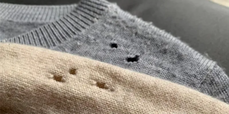 Cómo eliminar polillas de la ropa