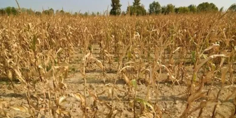 Medidas para proteger a los productores de alimentos