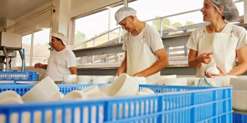 Proceso de fabricación del queso inclusivo