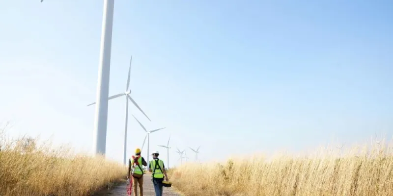 Reducen mortalidad de murciélagos en parques eólicos