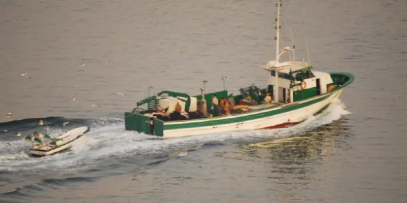 Pesca ilegal