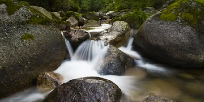 La materia orgánica ensucia los ríos y arroyos