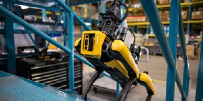 Roboperros para el medio ambiente