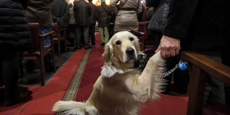 Los dueños de mascotas, devotos del patrón, llevan a perros, gatos, canarios y todo tipo de animales, muy engalanados, a recibir la bendición de San Antonio Abad / EL PAÍS