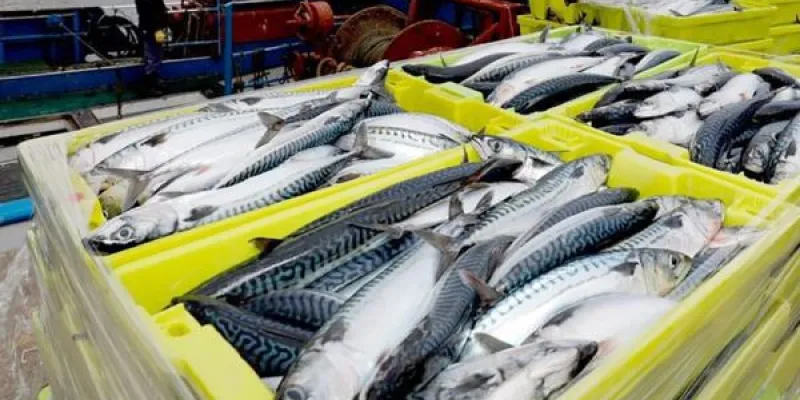 Pescados