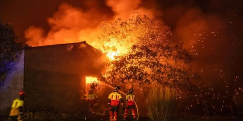 La sociedad no sabe cómo actuar ante incendios forestales