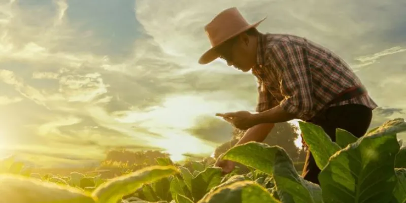 Imagen de un agricultor en el campo