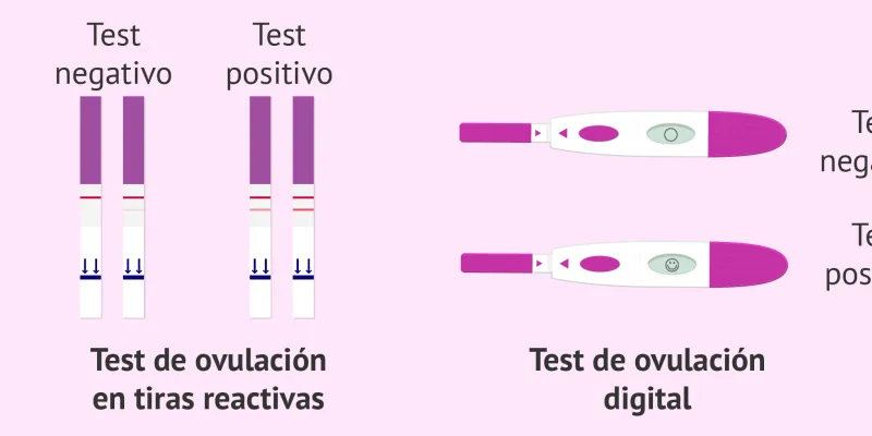 Test de ovulación