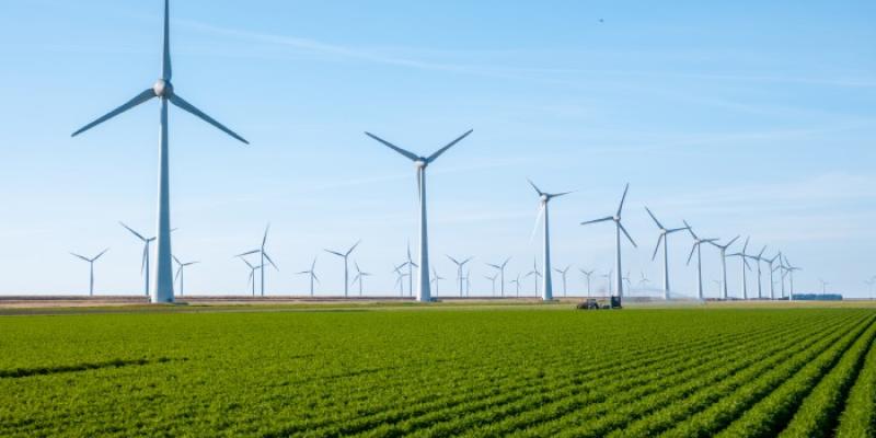 Molinos de viento