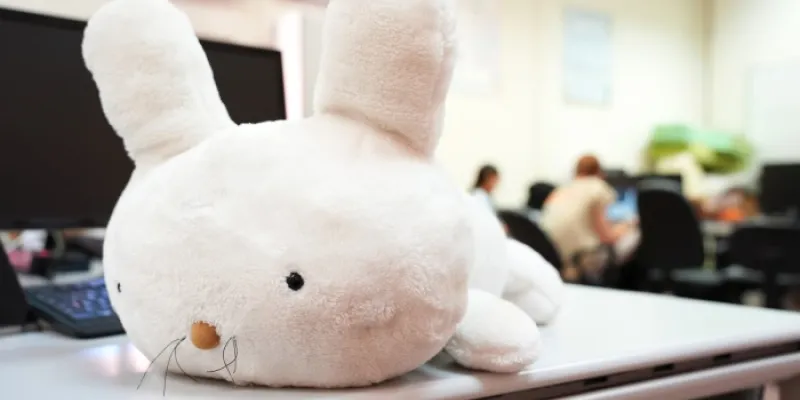 Mía, el conejo robótico mascota 