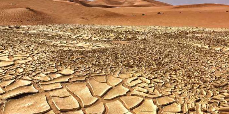 Cambio climático