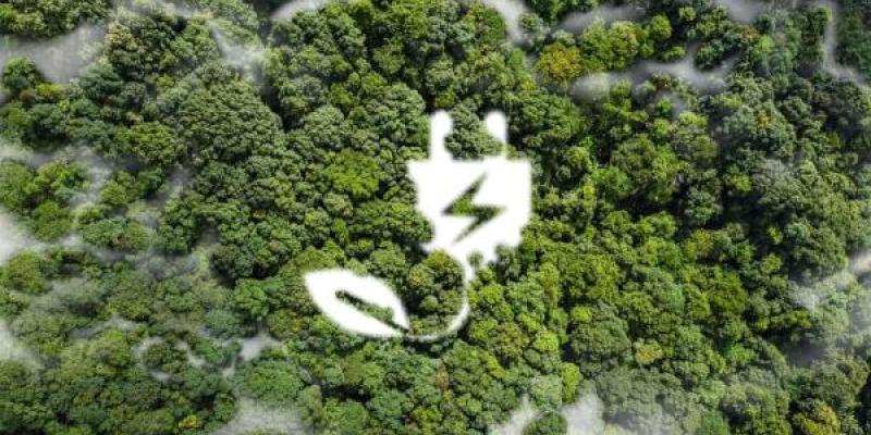 Enchufe sostenibilidad