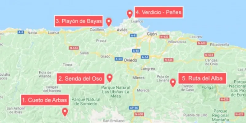 Rutas para viajar con perros