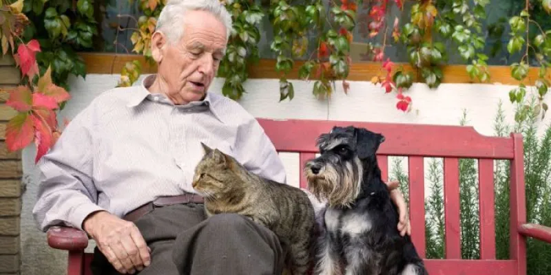 Hombre jubilado con un perro y un gato