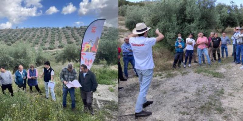 agricultura regenerativa