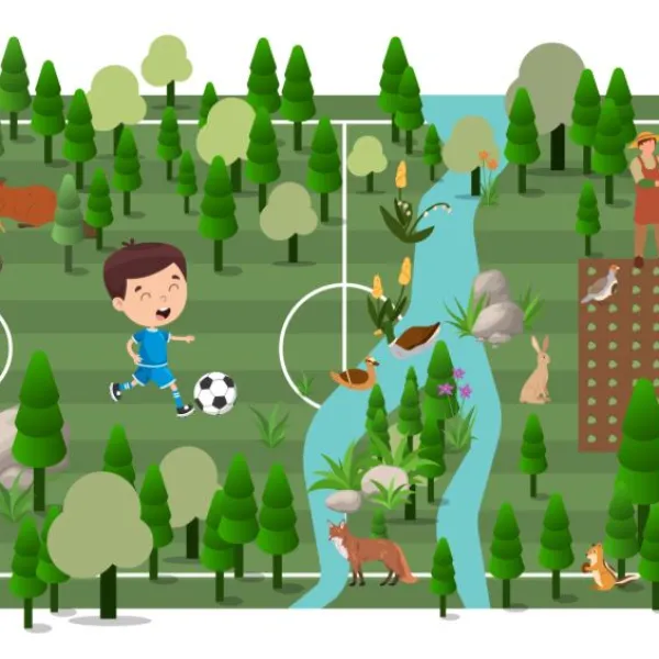 Infografía sobre un campo de fútbol