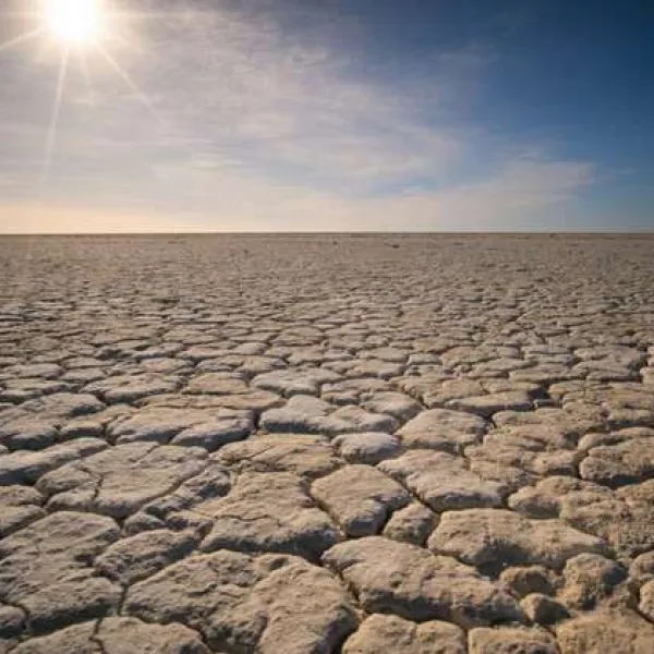 La degradación del suelo acarrea costes elevados