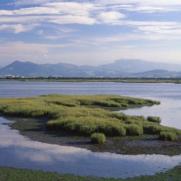 Parque Natural de las Marismas de Santoña, Victoria y Joyel de Cantabria, humedales españoles