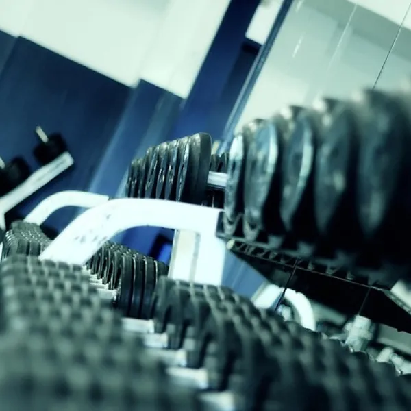 Filas de mancuernas en un soporte de gimnasio para fitness y fuerza.