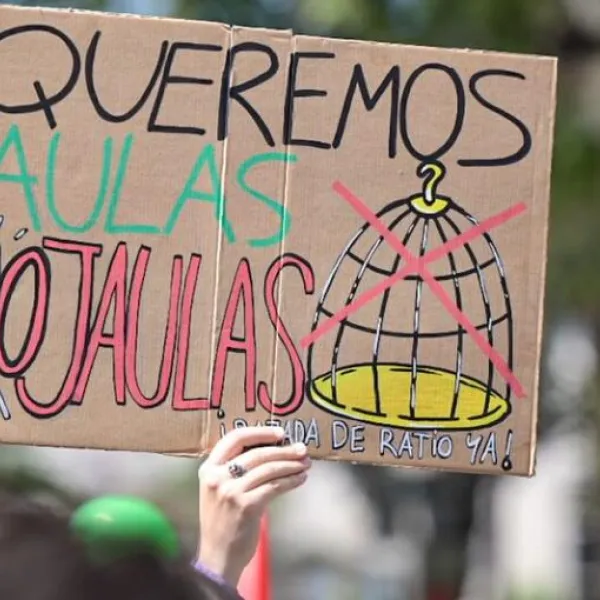 Pancarta que exige la bajada de ratios en una manifestación por la educación en Andalucía en 2024.