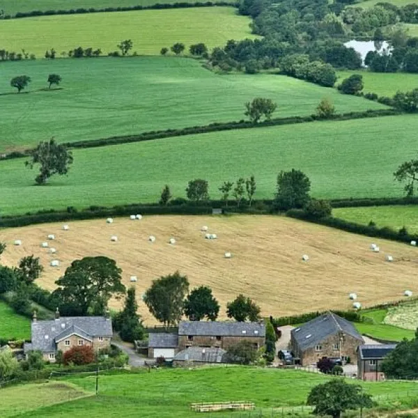 Imagen de un campo rural