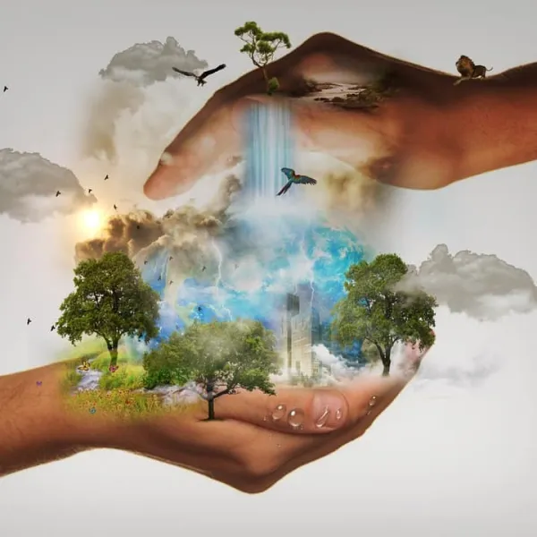 Dia Mundial de la Naturaleza