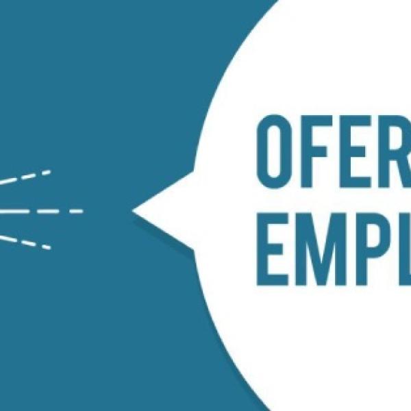Nivel de estudio de las ofertas de empleo