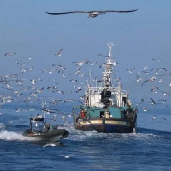 Lucha contra la pesca ilegal