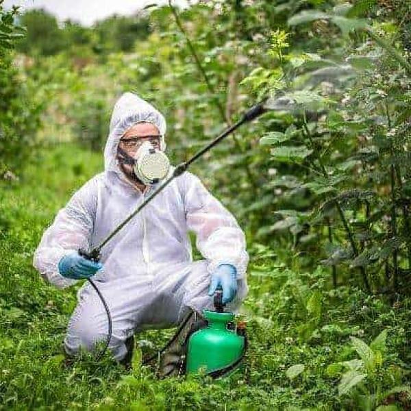 España y el uso de pesticidas
