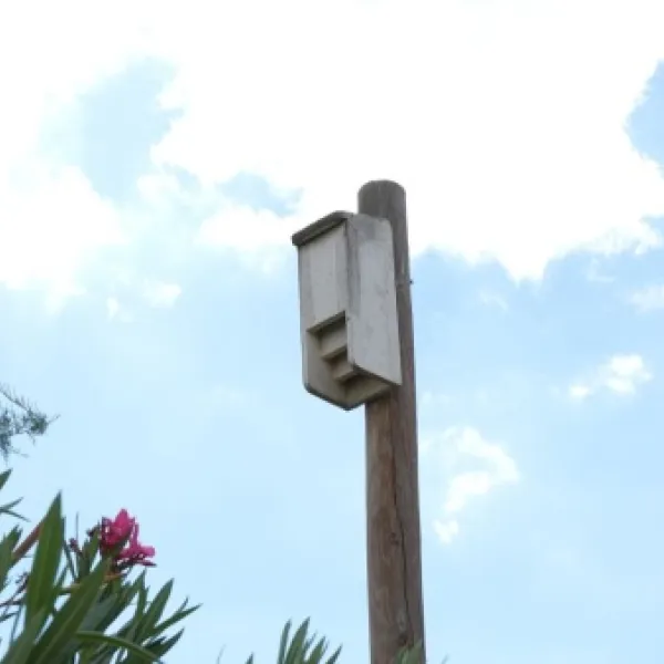 Una de las cajas refugio para murciélagos en Miajadas