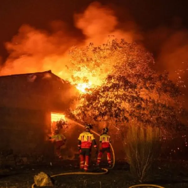 La sociedad no sabe cómo actuar ante incendios forestales