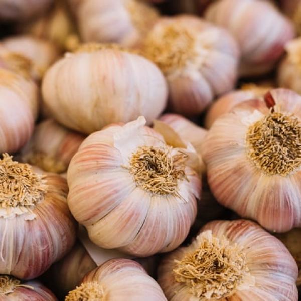 Beneficios del superalimento