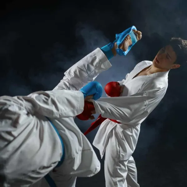Día Internacional del taekwondo