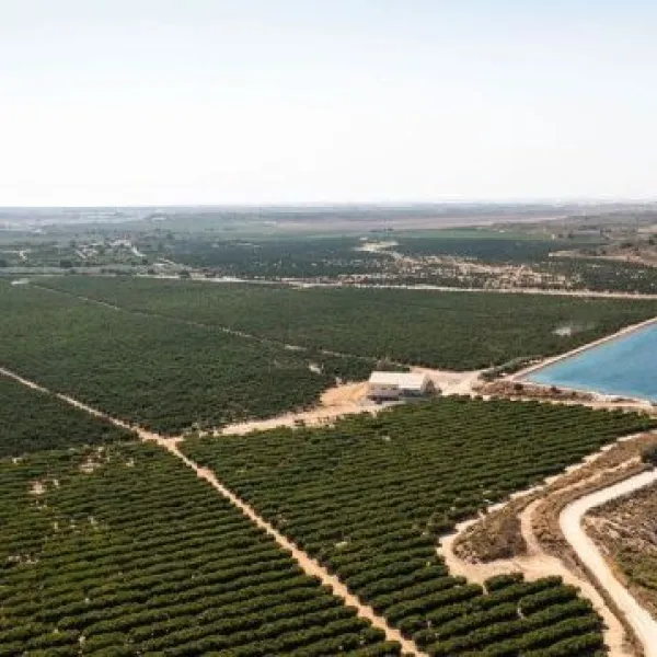 Zona de regadío intensivo en Campo de Cartagena (Murcia)