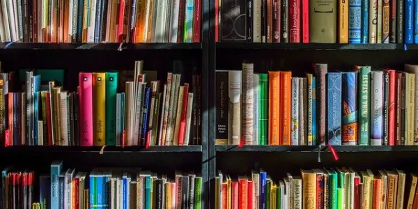 Estante con libros. Foto de pixabay