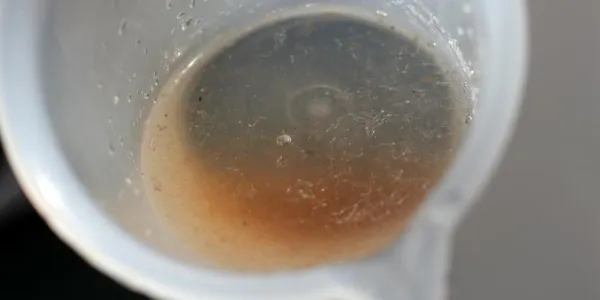 13729495w