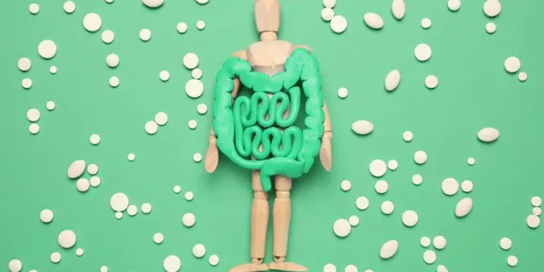 Muñeco de madera con intestino / Kern Pharma