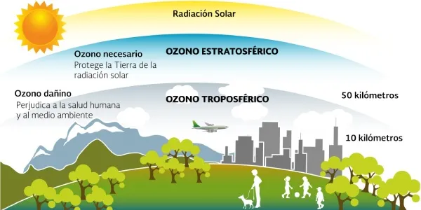 El ozono amenaza a la biodiversidad